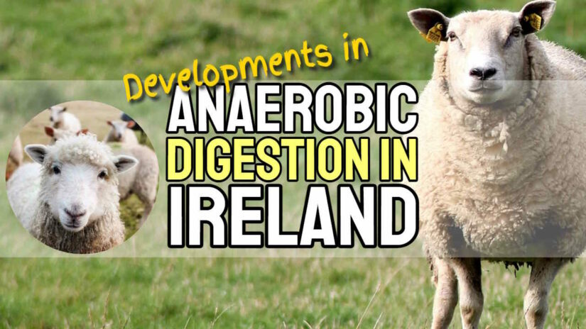 Featured image: "Anaerobic Digestion in Ireland".