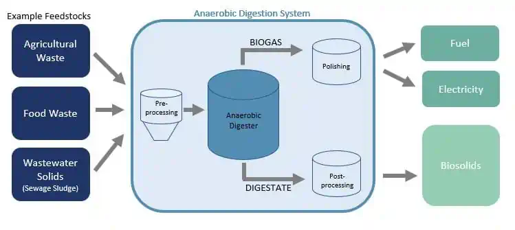 The Cambi sludge digestion process, including co-digestion with other organic wastes.