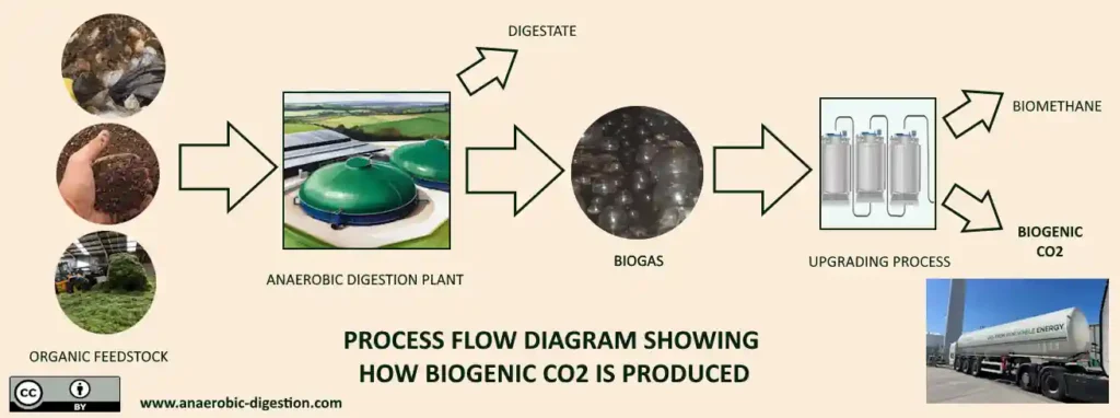 Biogenic CO2 process flow diagram.