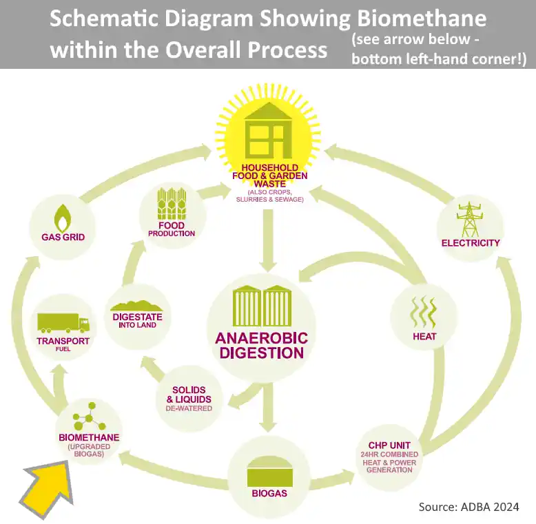 A schematic diagram that shows how the biogas process makes energy from food waste and other organic wastes.manage