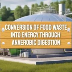 Food waste to energy article image..