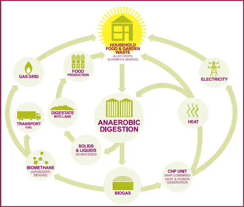 A diagram of anaerobic digestion within a circular economy.