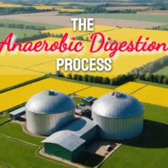 The image sows the anaerobic digestion process plant in yellow flowering rapeseed fields.