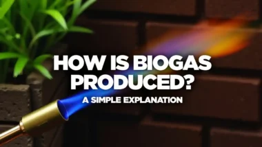 Featured image with the text: How is Biogas Produced - A Simple Explanation.