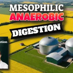 Featured image with text: "Mesophilic Anaerobic Digestion".