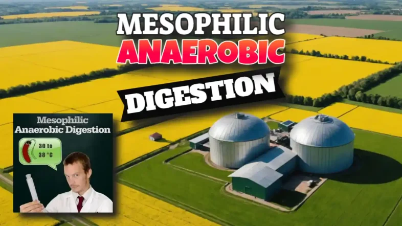 Featured image with text: "Mesophilic Anaerobic Digestion".