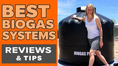 biogas powered electric generator thumbnail