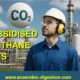 Featured image with text Unsubsidised Biomethane Plants