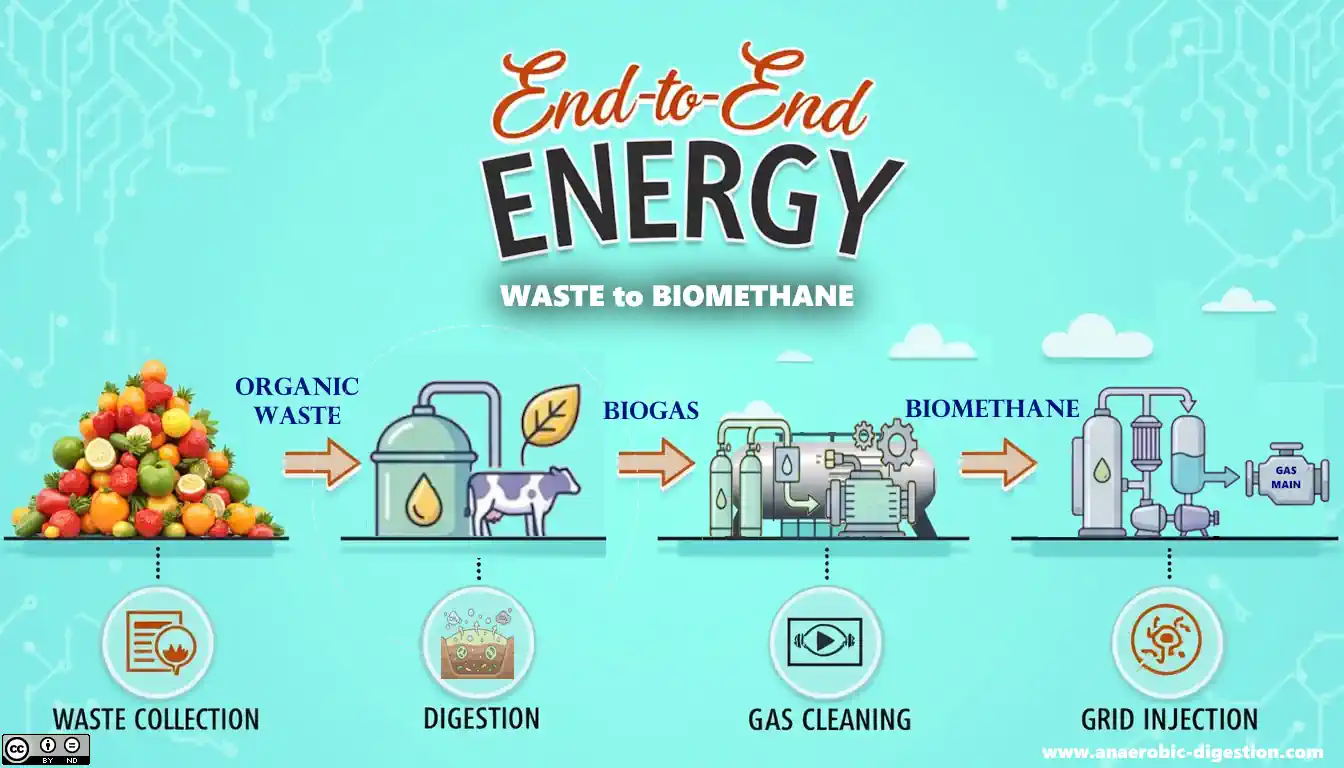 Infographic showing progression of food waste to biomethane to gas grid