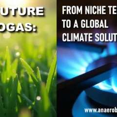 THE FUTURE OF BIOGAS FROM NICHE TECHNOLOGY TO GLOBAL CLIMATE SOLUTION.